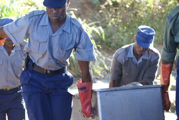 Two People Collapse & Die  Within Minutes In Masvingo In Separate Incidents