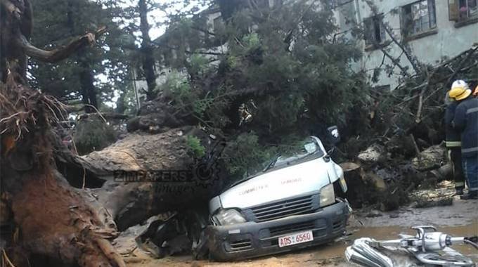 2 people die after tree crashesÂ  into kombi