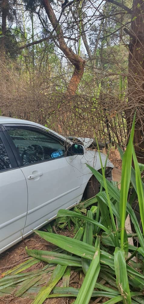ZRP Avondale car crashes 