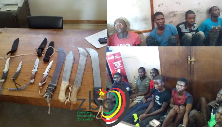 Terror gang of 8 arrested