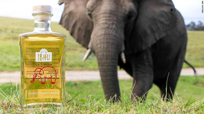 Indhlovu Gin Made From Elephant Dung