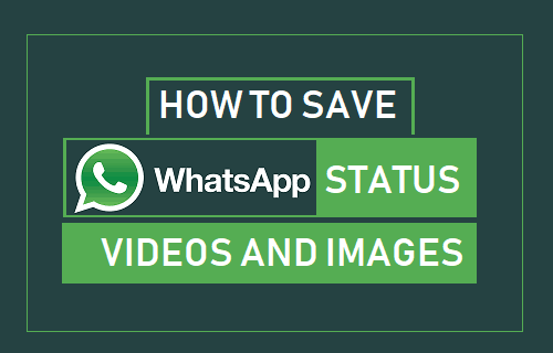 Download A Whatsapp Status Image Or Video.......