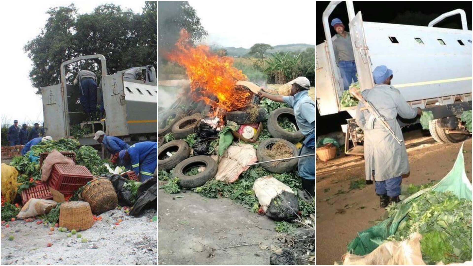 Police Confiscate and Burn Vegetables