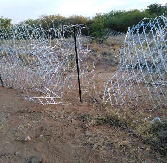 illegal immigrants vandalise Beitbridge border fence