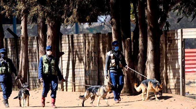 ZRP Ordered To Compensate Dog Attack Victim