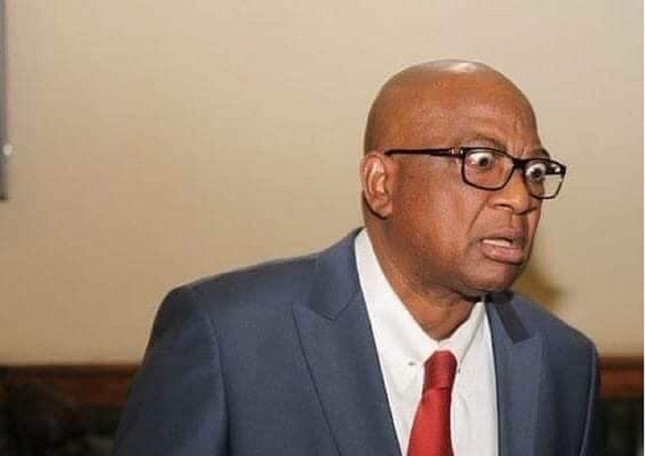 Chiyangwa’s Children Kicked Out Of School Over Non-Payment Of Fees