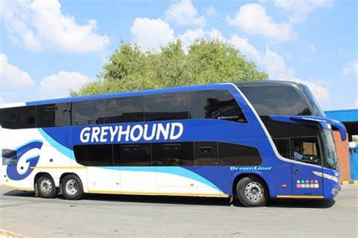 Greyhound Luxury Bus Company Makes A Comeback After A year