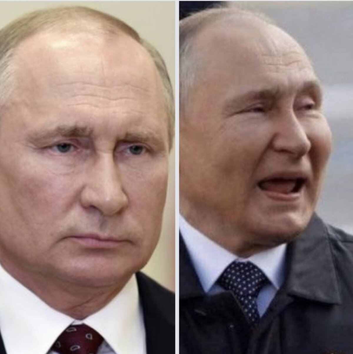 Vladimir Putin Is Dying