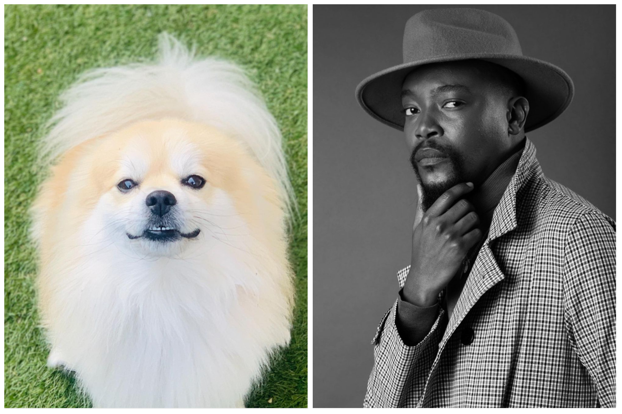 "Why Not": Moshe Ndiki Defends Opulent Funeral For His Dog