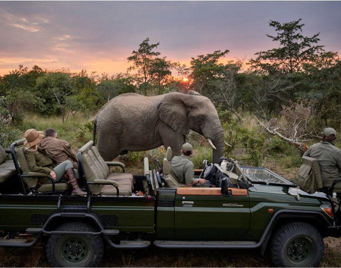 How to have an amazing safari experience in Kruger National Park