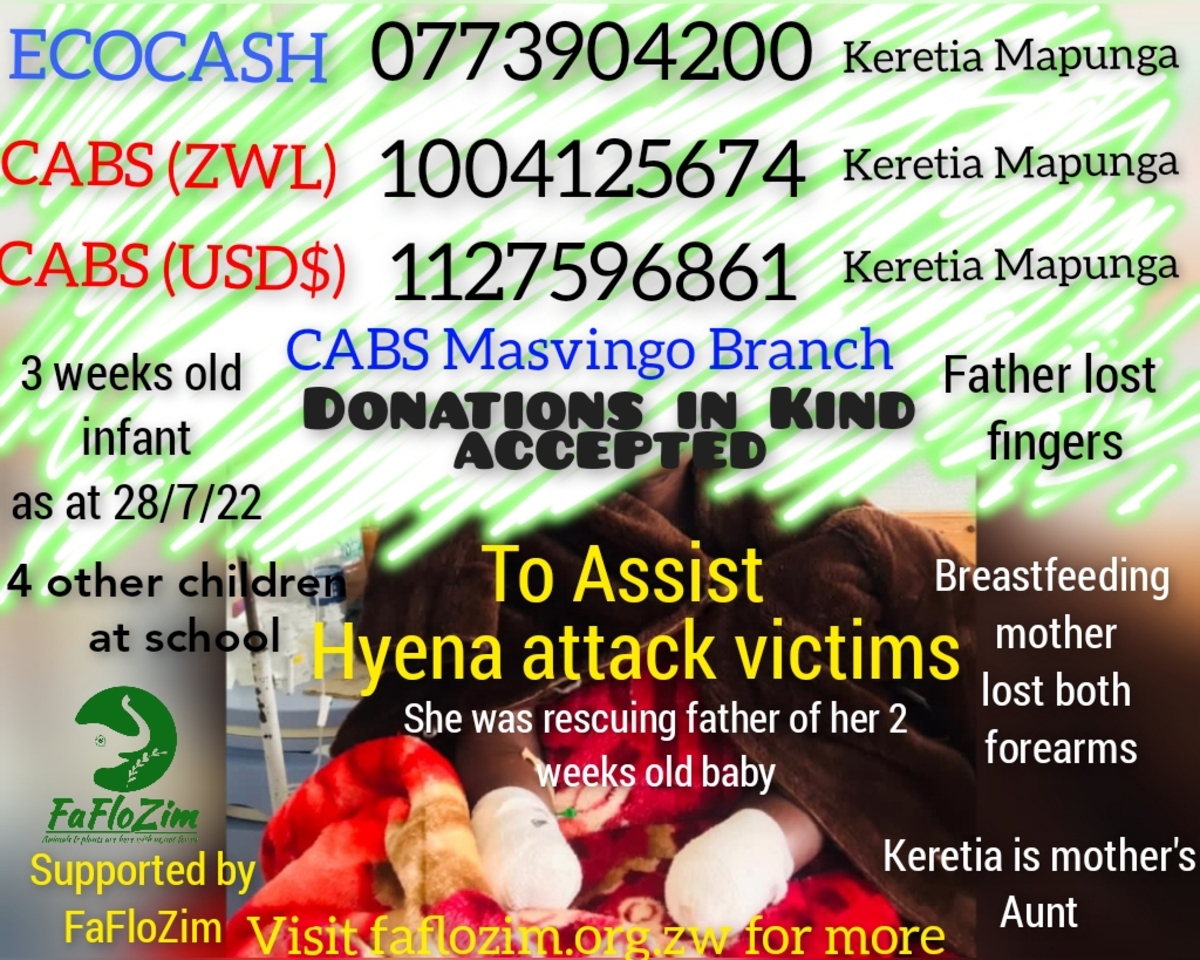 Brave Masvingo Woman Loses Both Hands Rescuing Husband From Hyenas, Appeals For Assistance