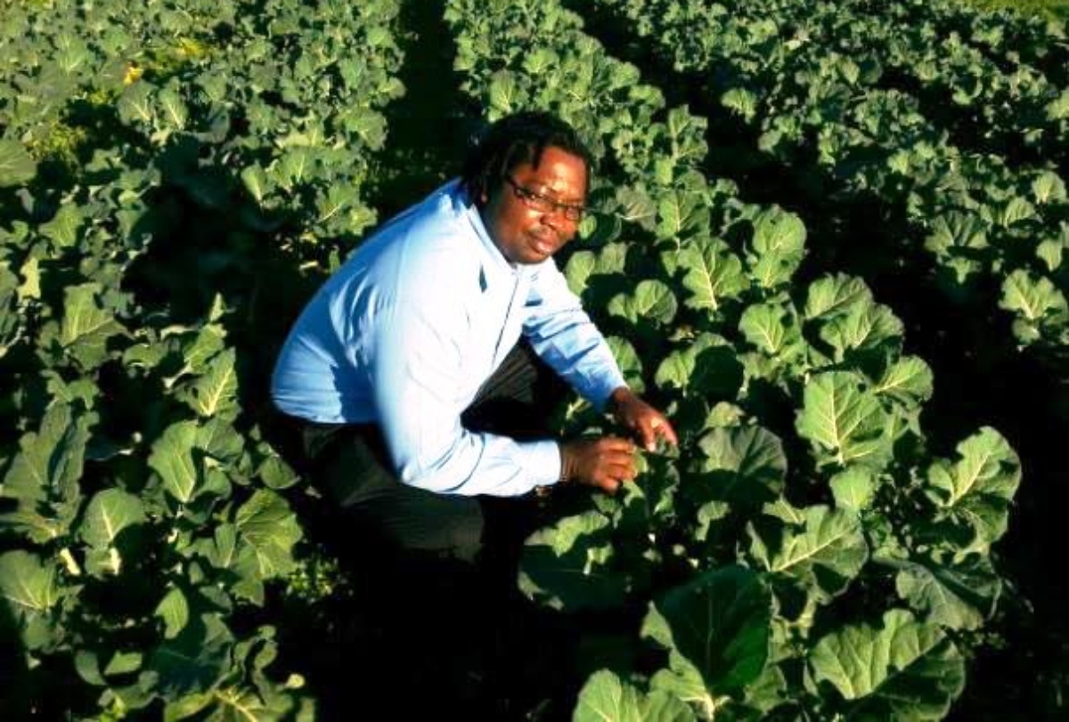 Five SA-Based Zimbabwean Farmers